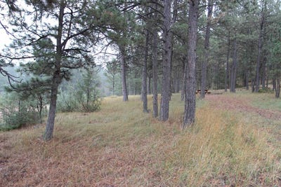 /international/us/26757-buffalo-butte-drive-hot-springs-sd-110102919040/