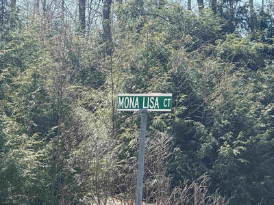 /international/us/florence-court-lot-194-davis-wv-110098915664/