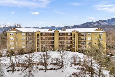 /international/us/338-pinnacle-view-way-gatlinburg-tn-110097013920/