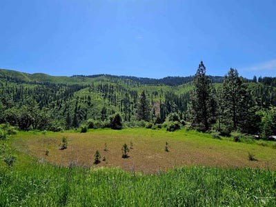 /international/us/tbd-adams-rd-parcel-d-orofino-id-110097694390/?lang=zh-tw