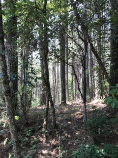 /international/us/0-hiwassee-street-ducktown-tn-110085402574/?lang=zh-cn