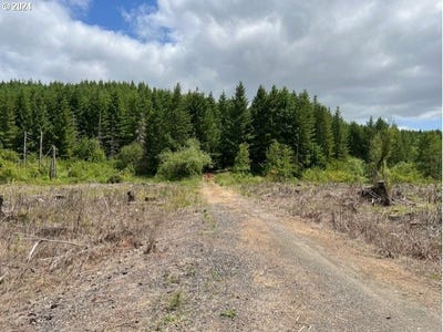 /international/us/airport-rd-vernonia-or-110093944503/