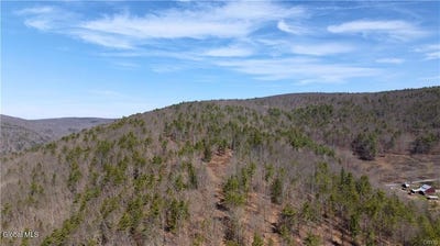 /international/us/285-patria-road-warnerville-ny-110107262101/