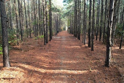 /international/us/350-williamson-way-lovelady-tx-110105226830/