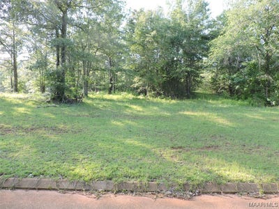 /international/us/lot-16b-white-oak-way-greenville-al-110085405343/