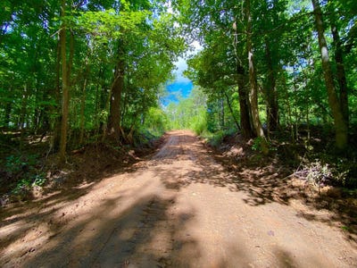 /international/us/0-hwy-5-marion-al-110103316741/