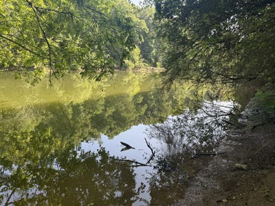 /international/us/0-lotta-river-road-sipsey-al-110101934310/
