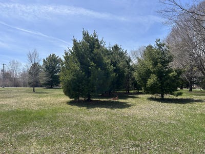 /international/us/vaughn-trail-lot-30-oscoda-mi-110107798129/