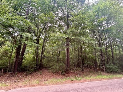 /international/us/john-keely-road-lot-8-zavalla-tx-110108639839/