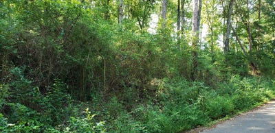 /international/us/treeline-drive-dunlap-tn-110098597549/