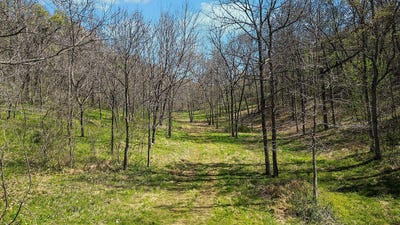 /international/us/000-paradise-lane-pineville-mo-110098859096/?lang=en