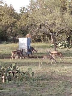 /international/us/000-county-road-152-brady-tx-110104848030/