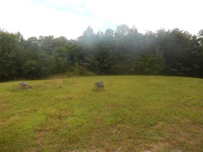 /international/us/346-cobblestone-ln-shenandoah-va-110100897265/
