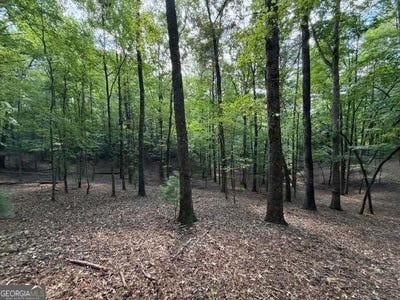 /international/us/556-satsuma-court-s-ellijay-ga-110110404158/