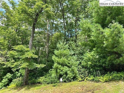 /international/us/lot-16-sunset-ridge-drive-boone-nc-110101502903/
