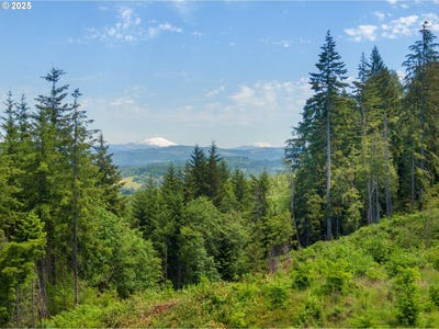 /international/us/meissner-rd-deer-island-or-110099995558/