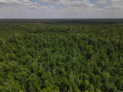 /international/us/001-county-road-311-hamburg-ar-110107545836/