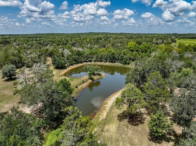 /international/us/1126-abel-road-new-ulm-tx-110109752003/