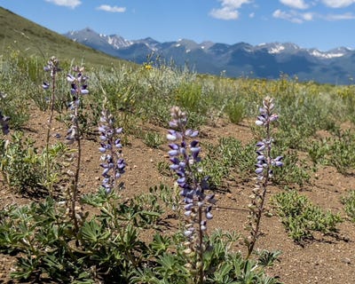 /international/us/tbd-l9-co-rd-255-westcliffe-co-110106200133/