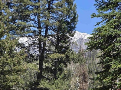 /international/us/331-beaver-circle-durango-co-110097277267/?lang=zh-tw