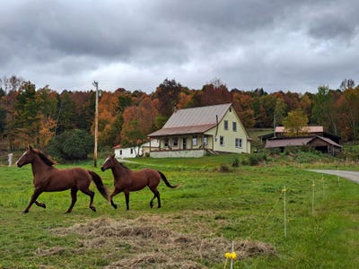 /international/us/51-barney-hill-road-bakers-mills-ny-110108059979/
