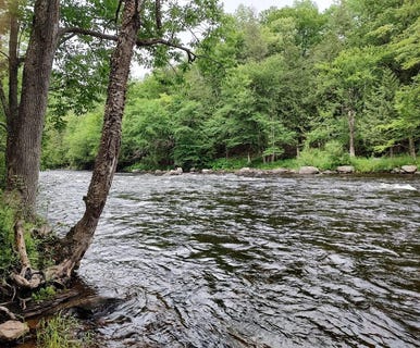 /international/us/3542-silver-lake-road-saranac-ny-110099585279/