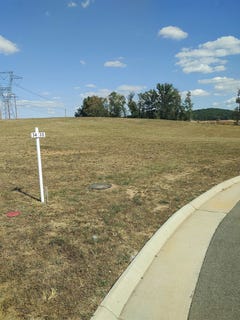 /international/us/travelers-terr-lot-35-fishersville-va-110102194608/