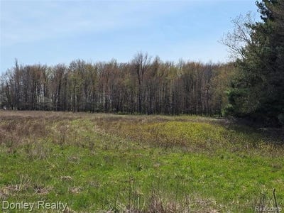 /international/us/v-l-hyde-road-washington-twp-mi-110107724605/