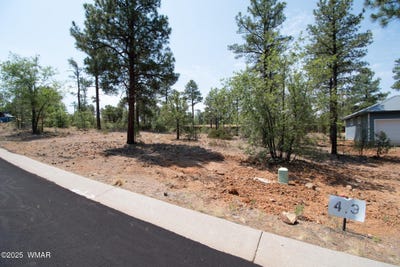 /international/us/381-e-huckleberry-lane-show-low-az-110100979614/?lang=en