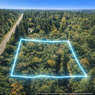 /international/us/overpass-rd-wa-110110320291/