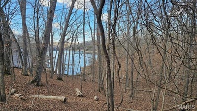 /international/us/1521-s-lake-sherwood-drive-lake-sherwood-mo-110106060346/