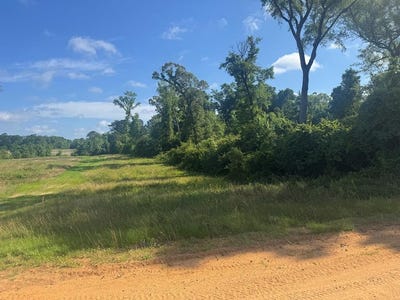 /international/us/moore-meadow-drive-lot-15-georgetown-ga-110108357691/