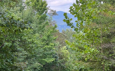 /international/us/lt-11-the-preserve-at-beach-mountain-brasstown-nc-110086210718/?lang=zh-cn
