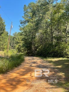 /international/us/mims-road-lot-1-chunchula-al-110102815760/