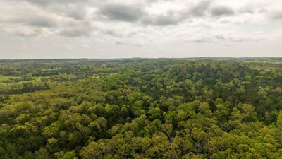 /international/us/4-little-woods-road-elizabeth-ar-110108740917/