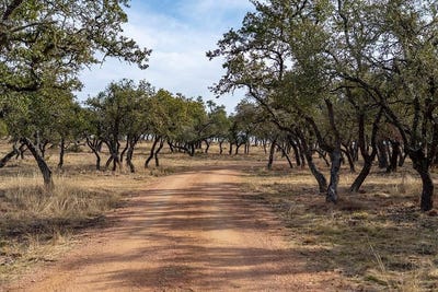 /international/us/20400-fm-2093-fredericksburg-tx-110110279609/