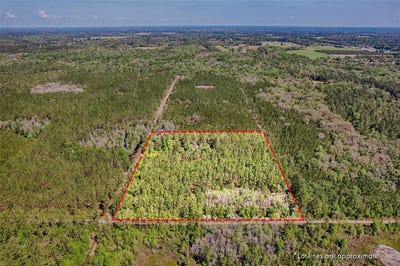 /international/us/nw-290th-avenue-alachua-fl-110098500525/