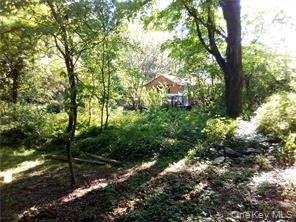 /international/us/71-honeywell-lane-hyde-park-ny-110107728404/
