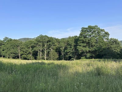 /international/us/sunset-mountain-village-lot-1003-slaty-fork-wv-110100804740/