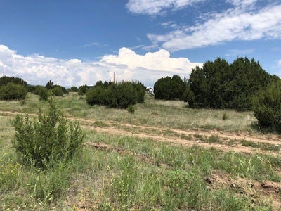 /international/us/0-122-acre-storrie-road-las-vegas-nm-110101212585/?lang=zh-tw