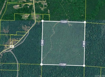 /international/us/40-acres-near-ouachita-387-camden-ar-110107892250/