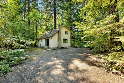 /international/us/174-northwoods-cougar-wa-110101956331/