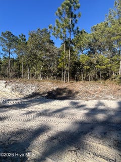 /international/us/fletcher-key-street-lot-80-southport-nc-110120530565/