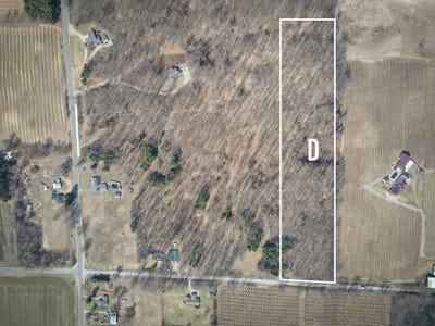 /international/us/parcel-d-w-grant-road-new-era-mi-110104256633/