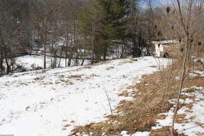 /international/us/190-coon-creek-road-camden-on-gauley-wv-110105799324/