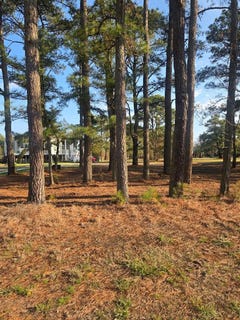 /international/us/hibiscus-dr-lot-111-chincoteague-va-110101394506/