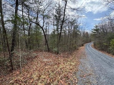/international/us/fetterbush-ln-lot-45-hinton-va-110090622010/