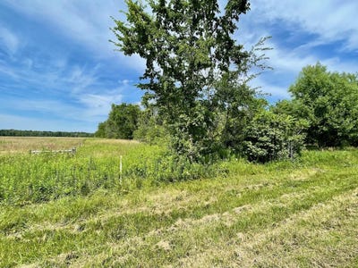 /international/us/210-trout-creek-drive-oneida-wi-110101067233/