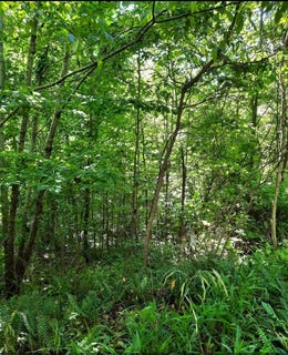 /international/us/1774-owl-creek-road-lucasville-oh-110101516536/?lang=zh-cn