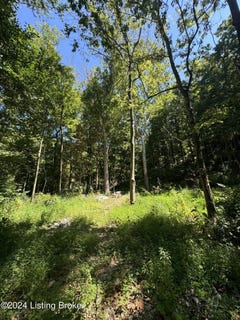 /international/us/lot-13-rose-island-rd-goshen-ky-110094455462/?lang=zh-cn